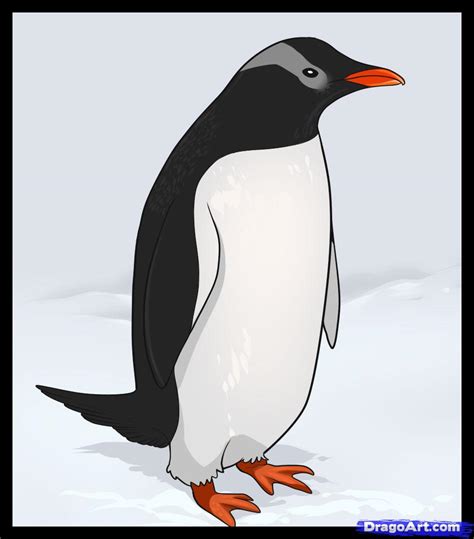 Penguin Drawing For Kids At Explore Collection Of