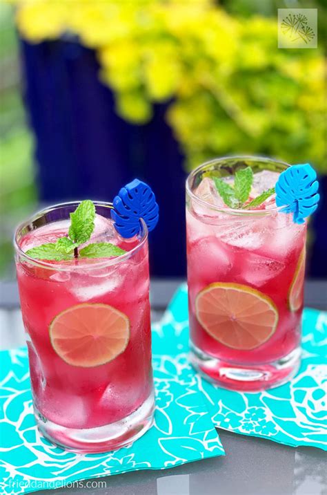 Sparkling Blueberry Mojito Punch — Fried Dandelions — Plant Based Recipes