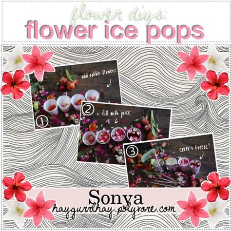 Diy Edible Flower Ice Pops Flower Ice Ice Pops Edible Flowers