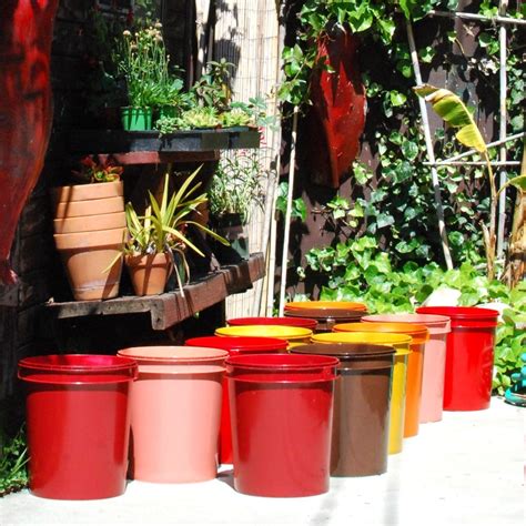 5 Gallon Bucket Container Garden Raise Design