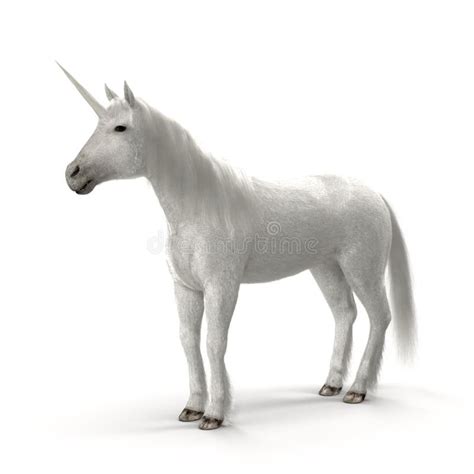 207 Realistic Unicorn Stock Photos Free And Royalty Free Stock Photos