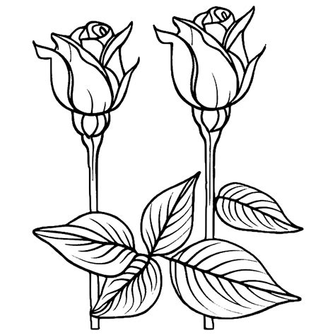Rose Bud Coloring Page · Creative Fabrica