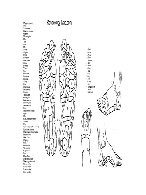 Printable easter bunny feet template. Acupressure and Massage Chart - 8 Free Templates in PDF ...