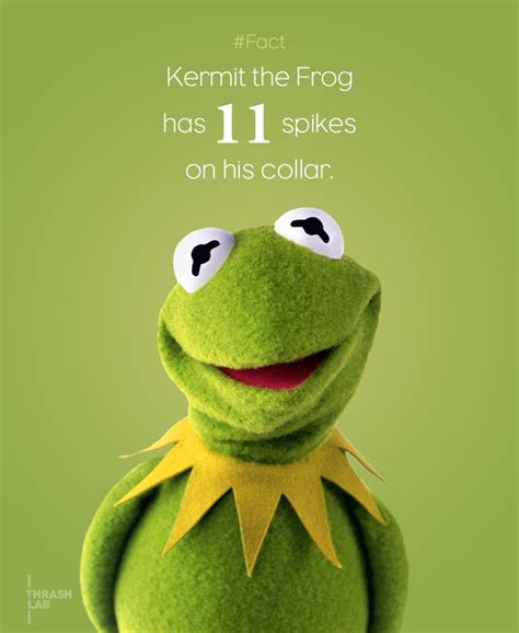 Kermit The Frog Quotes Quotesgram