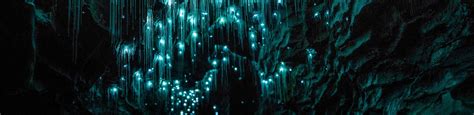 Magical New Zealand Cave Is Illuminated By Luminescent Glowworms