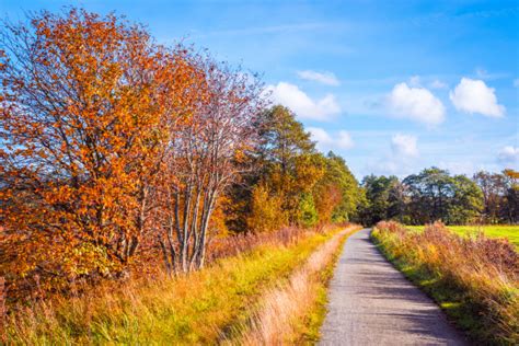 Weg Durch Eine Herbstliche Landschaft Stockfoto 15197541