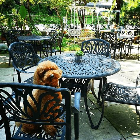 11 Dog Friendly Cafes And Restaurants In Singapore That You Can Dine At