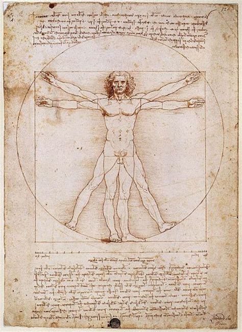 Leonardo Da Vincis Vitruvian Man Explained Owlcation
