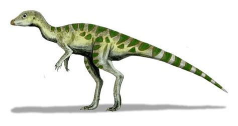 Atlascopcosaurus Dinosauress