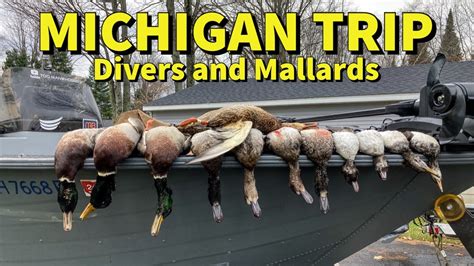 Layout Hunting Divers And Kayak Duck Hunting In Michigan Banded