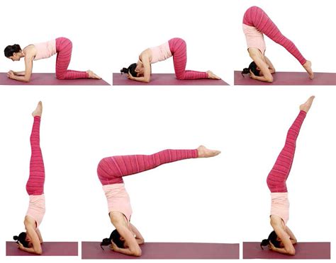 Padma Sirsasana Lotus Headstand Variation Asana International Yoga