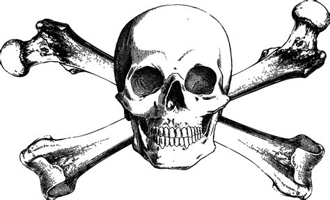 Download And Bones Drawing Skull Crossbones Free Download Png Hq