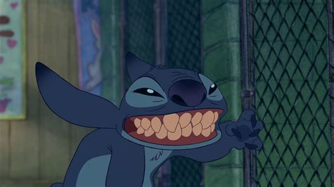 We did not find results for: Lilo & Stitch - L'Adoption de Stitch - YouTube