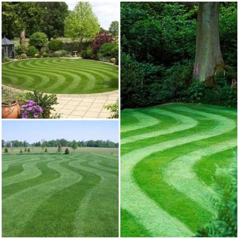 Lawn Striping Ideas To Try In Your Backyard In 2023 A Nest With A Yard