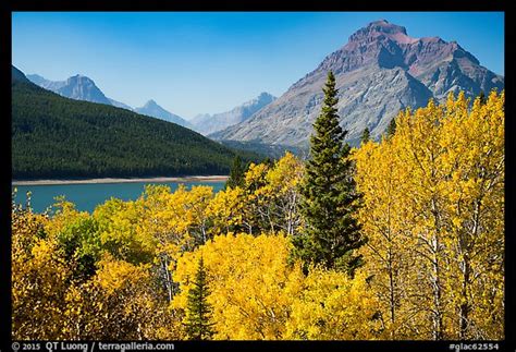 Photographing Fall Foliage In Glacier National Park From Qt Luongs