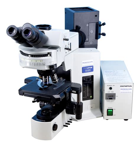 Olympus Bx51 Fluorescence Microscope With Warranty Microscope Central