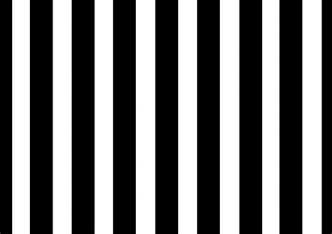 49 Black And White Stripe Wallpapers Wallpapersafari