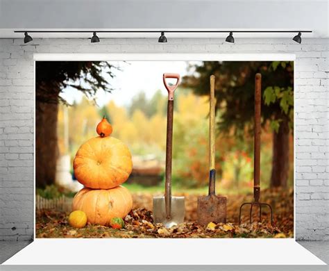 Laeacco Autumn Harvest Pumpkins Farm Tools Bokeh Scenic Photography