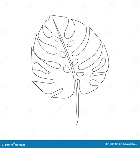Exotic Monstera Continuous One Line Drawing Summer Tropical Leaf Hand