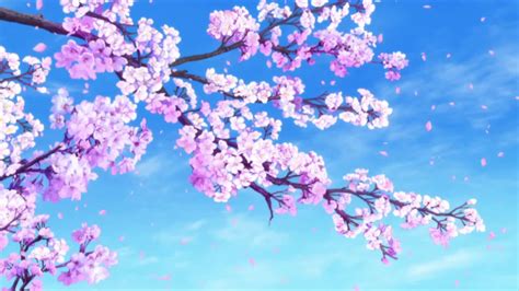 Falling Sakura Wallpaper Engine Youtube