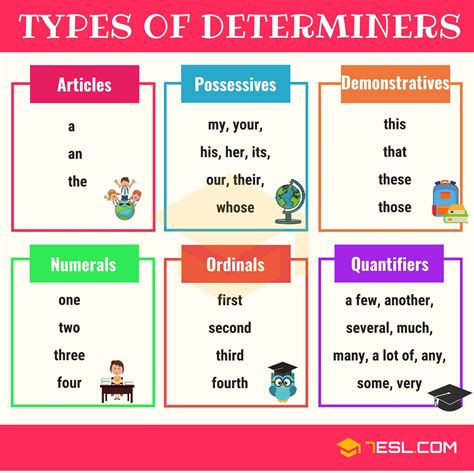 What Are Determiners And Types Of Determiners In English Gambaran