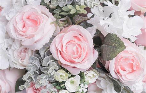Pastel Roses Wallpapers Top Free Pastel Roses Backgrounds