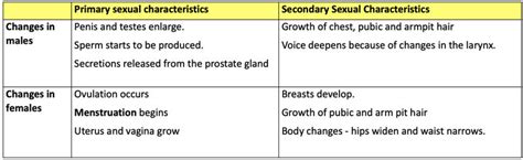 Secondary Sexual Characteristics In Psychology Ptmt