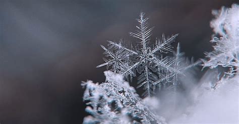 Unbelievable The Largest Reported Snowflake Ever Was Way Bigger Than