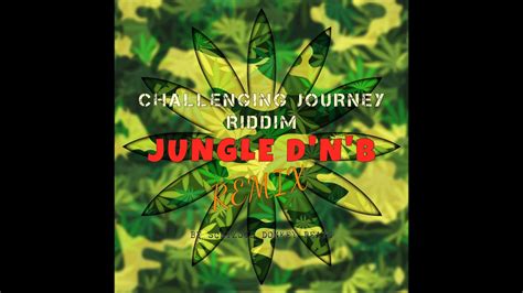 Jungle Drum And Bass Instrumental Challenging Journey Riddim Jungle