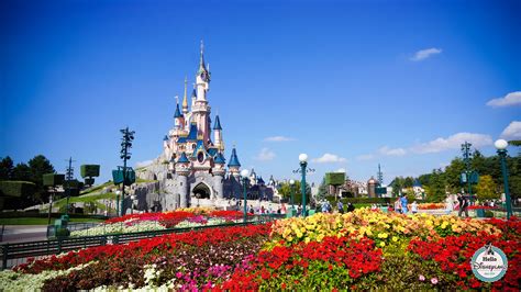 We did not find results for: Disneyland Paris | Arts et Voyages
