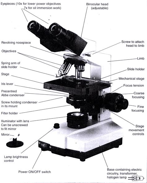 Blank Diagram Of Microscope