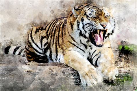 Tiger Abstract Art K Hd Artist K Wallpapers Images Backgrounds Riset