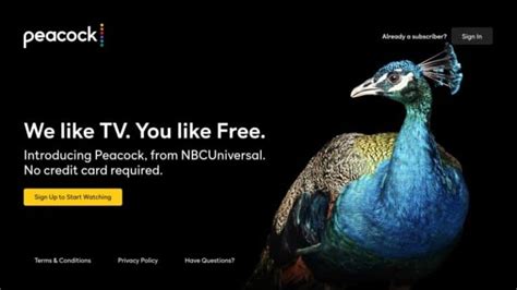 How To Install Peacock Tv On Firestick Web Safety Tips