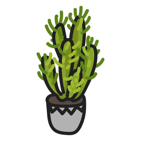 Stroke Cactus Succulent Illustration Transparent Png And Svg Vector File