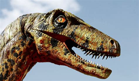 Tienda de dinosaurios de juguete, juegos, libros, camisetas, muñecos playmobil dinos, lego dinosaurios, posters y merchandising. Genética para reproducir dinosaurios