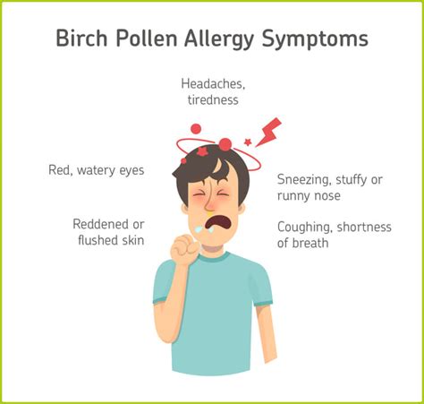 Birch Pollen Allergy Causes And Treatment Cerascreen
