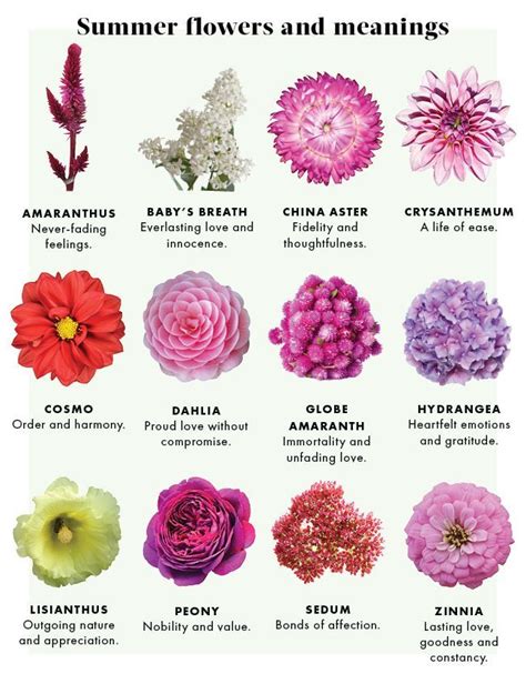 flower names and meanings with pictures