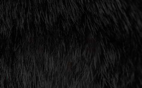 Va69 Wallpaper Cat Fur Rawrdis Black Pattern
