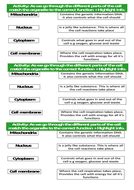 In this article we will see what the characteristics of the animal cell are, as well as its main functions and specializations in forming the organism in which. Plant and Animal Cells (KS3) | Teaching Resources
