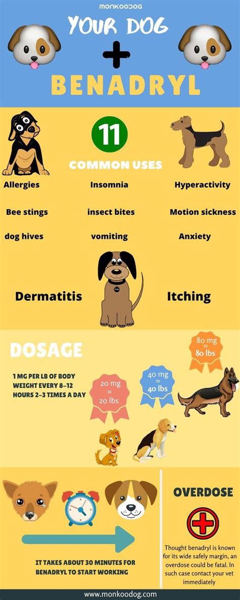 May 01, 2020 · some allergy medications can cause confusion, urinary tract symptoms or other side effects in older adults. Can you give your dog Benadryl for a cough? - Quora