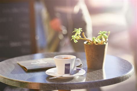 If you're heading to a busy cafe or restaurant that doesn't take bookings arrange to meet your friends at 10 minutes to the hour (9:50am or 6:50pm) instead of on the hour. Free Images : table, cafe, coffee, plant, flower, pot ...
