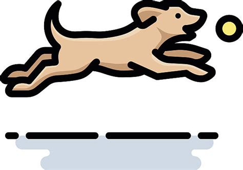 100 Dog Fetching Ball Illustrations Royalty Free Vector Graphics