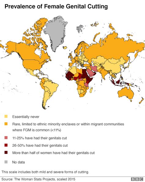 female genital mutilation fgm i had it but my daughters won t bbc news