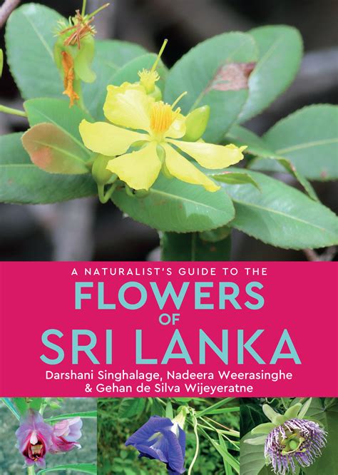 A Naturalists Guide To The Flowers Of Sri Lanka Jb Publishing