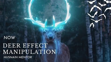 How To Glowing Deer Manipulation Tutorial In Photoshop Photoshop