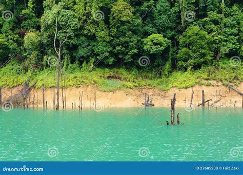 Tropical Lake Stock Photo Image Of Landscape Magic 27685230