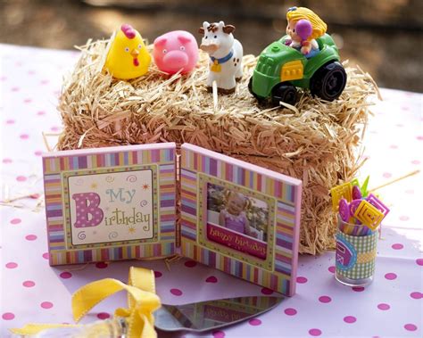 Petting Zoo Party Decor Party Decorations Petting Zoo Birthday Party