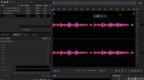 Adobe Audition Easy Karaoke Singing Method Youtube