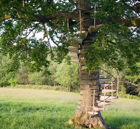 Designers thor ter kulve and robert mcintyre revealed a spiral staircase that can be installed on a tree trunk without using any tools or harming it. CanopyStair Tree Stairway