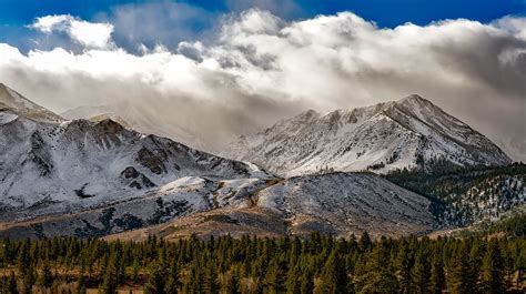 무료 이미지 경치 나무 자연 숲 황야 눈 겨울 구름 하늘 목초지 한 지방 언덕 골짜기 국가 풍경화